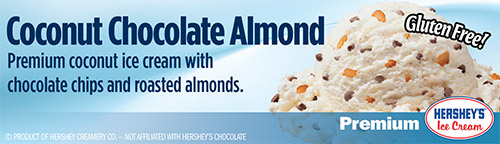 Coconut Chocolate Almond: Premium coconut ice cream with chocolate chips and roasted almonds!